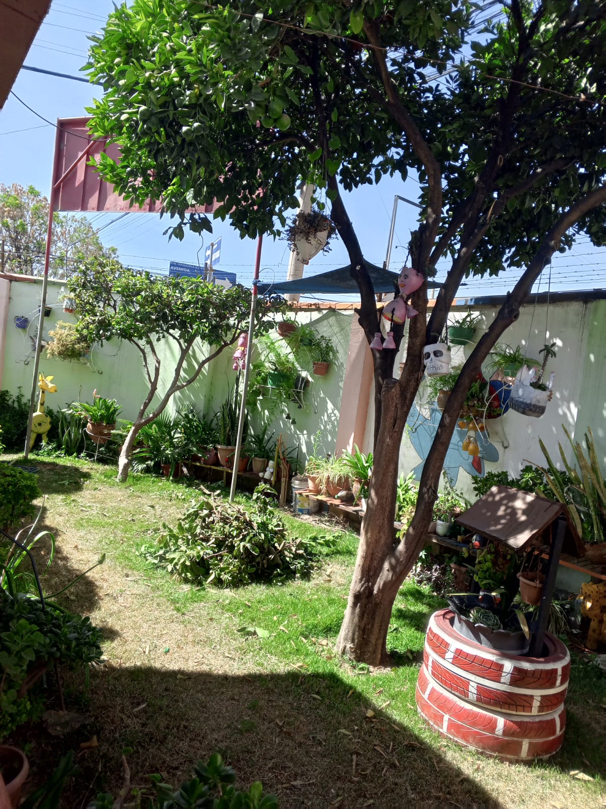 Niños jugando en el patio